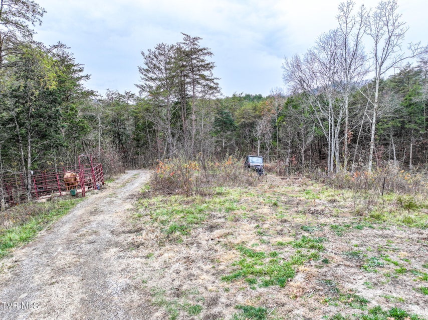 Photo #11: 750 Tom White Hollow Road Road