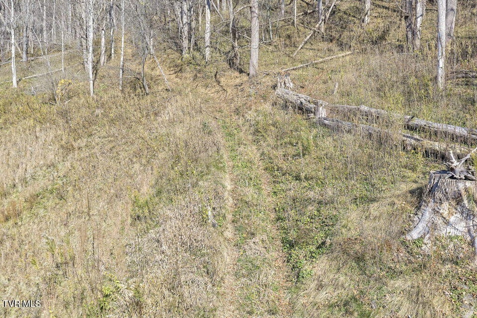 Photo #65: 625 Heaton Creek Road