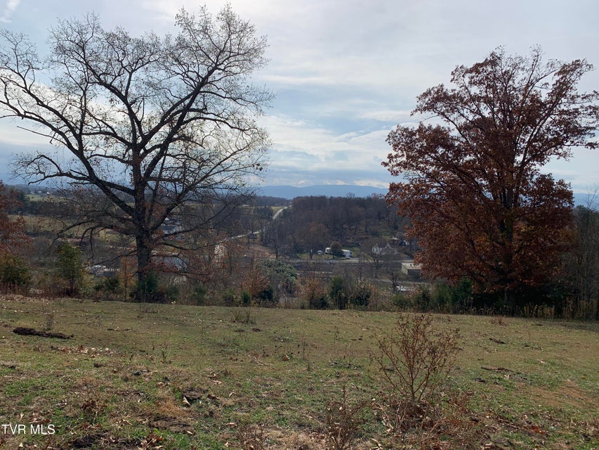 Photo #3: 188 Methodist Ridge Road Road