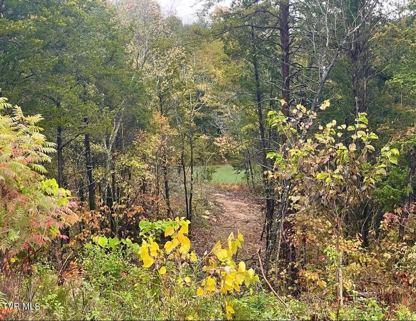 Photo #41: 750 Tom White Hollow Road Road