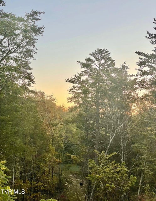 Photo #43: 750 Tom White Hollow Road Road