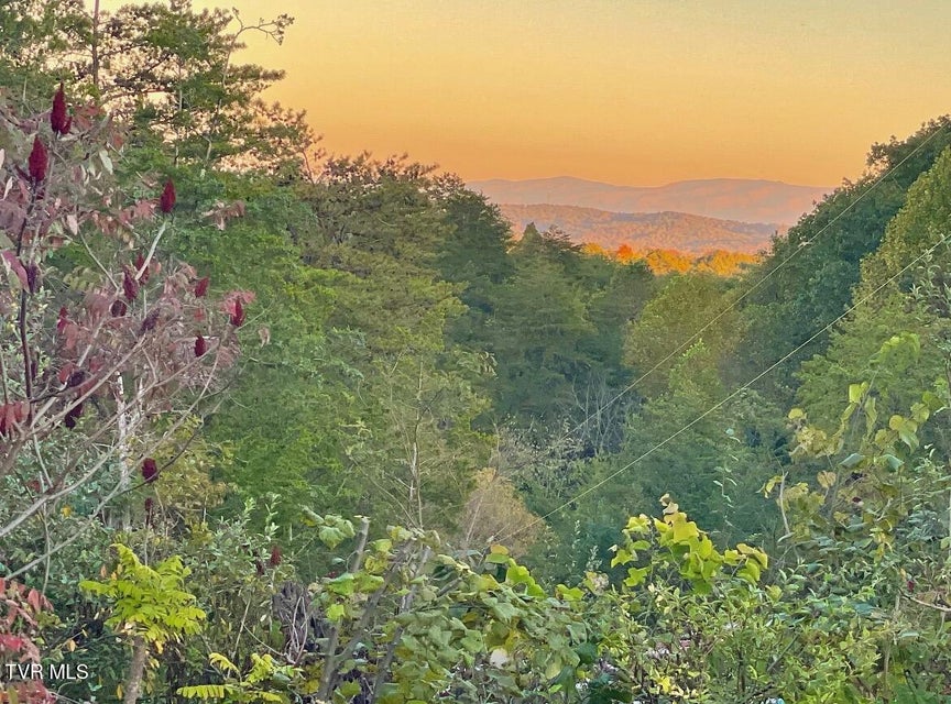 Photo #44: 750 Tom White Hollow Road Road