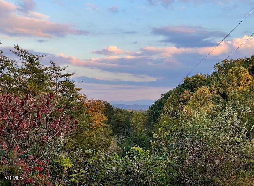 Photo #45: 750 Tom White Hollow Road Road