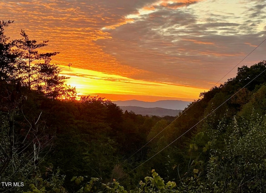 Photo #48: 750 Tom White Hollow Road Road