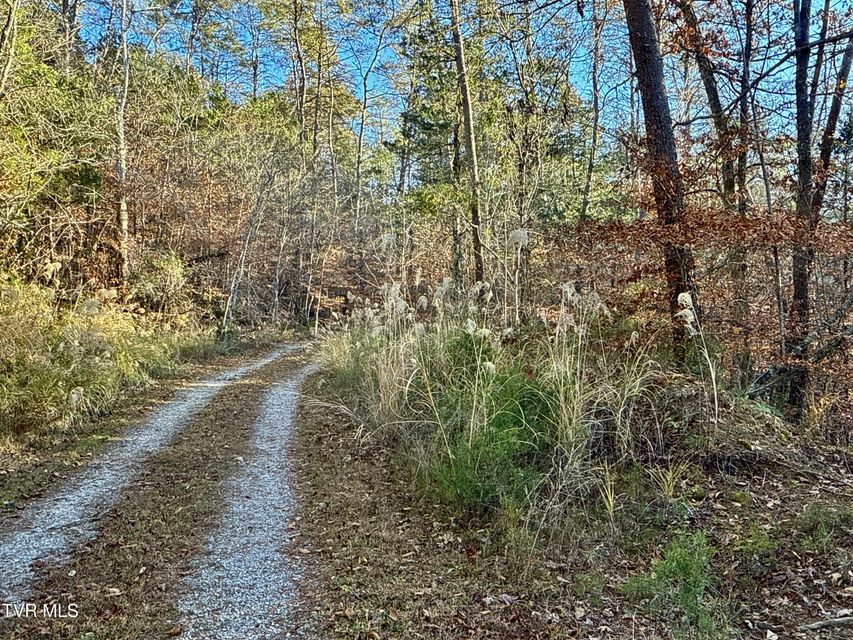 Photo #65: 131 Gibson Hollow Road