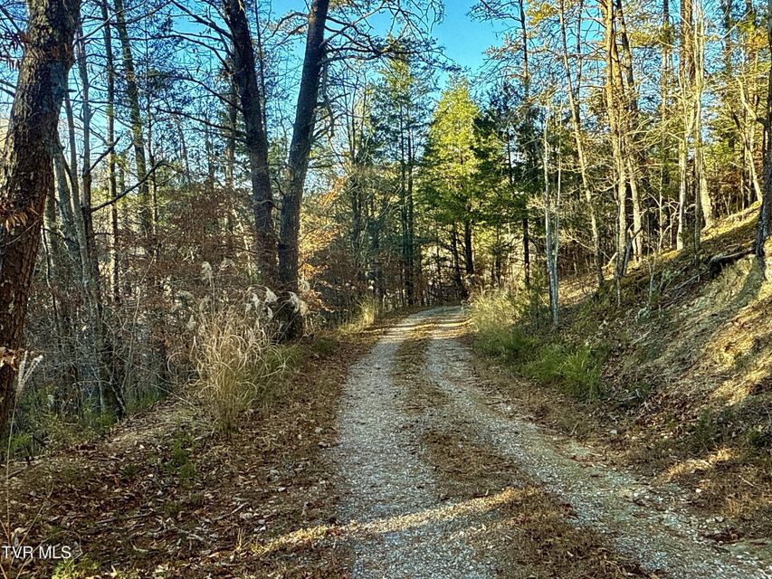 Photo #66: 131 Gibson Hollow Road