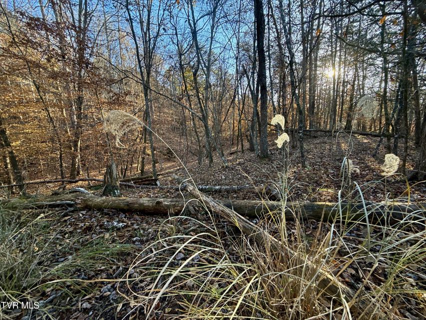 Photo #67: 131 Gibson Hollow Road