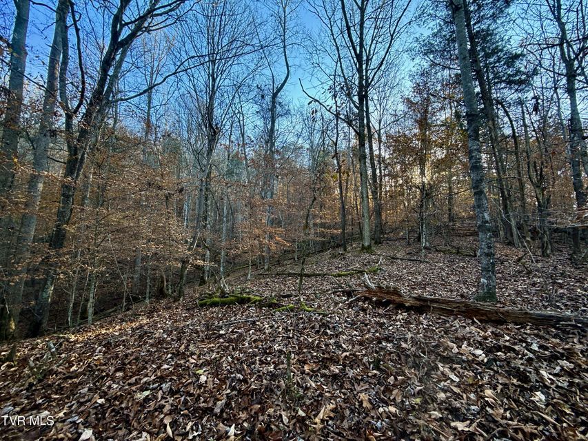 Photo #68: 131 Gibson Hollow Road