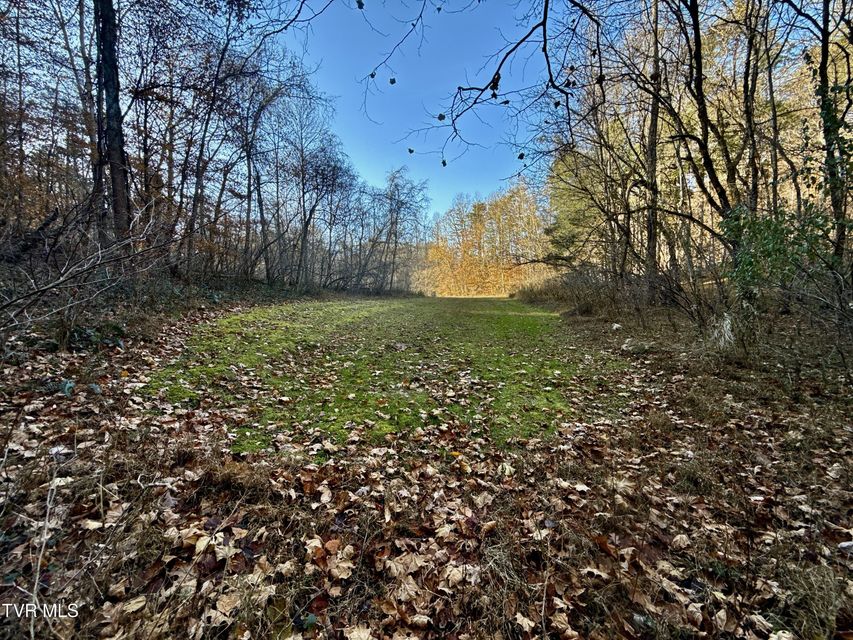 Photo #72: 131 Gibson Hollow Road