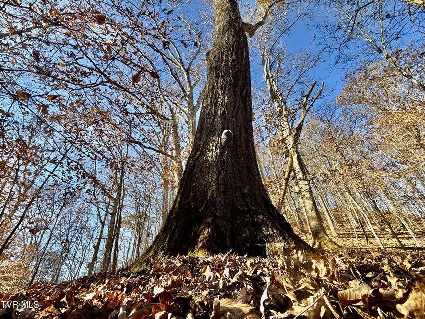 Photo #73: 131 Gibson Hollow Road