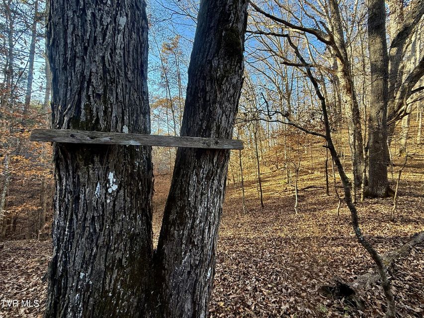 Photo #74: 131 Gibson Hollow Road