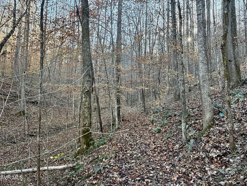 Photo #75: 131 Gibson Hollow Road