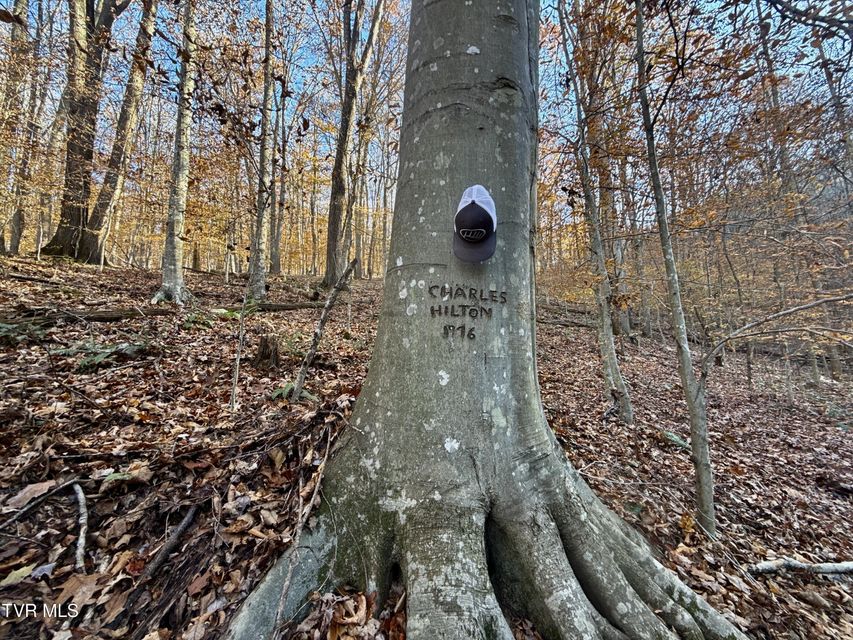 Photo #76: 131 Gibson Hollow Road