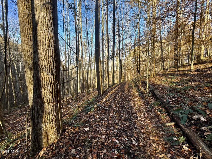 Photo #77: 131 Gibson Hollow Road