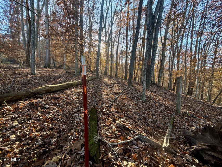 Photo #78: 131 Gibson Hollow Road