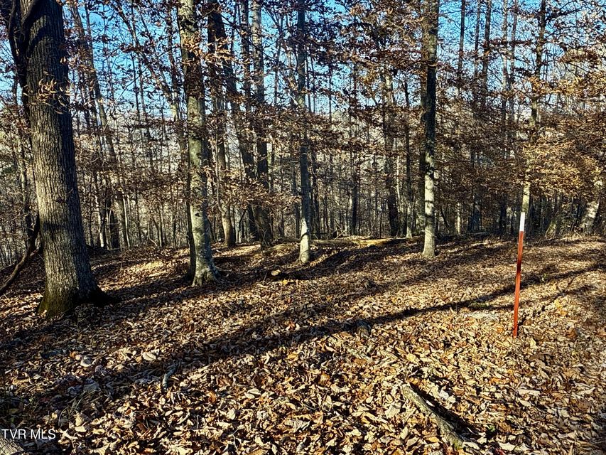 Photo #79: 131 Gibson Hollow Road