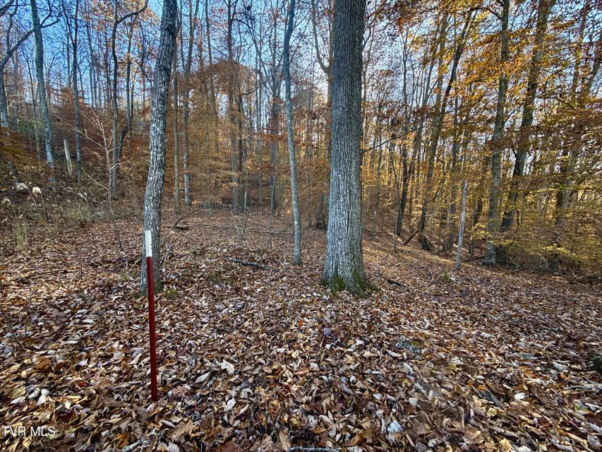 Photo #80: 131 Gibson Hollow Road