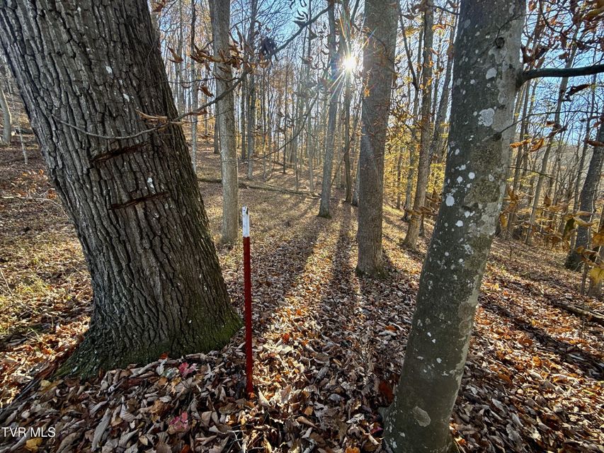 Photo #82: 131 Gibson Hollow Road