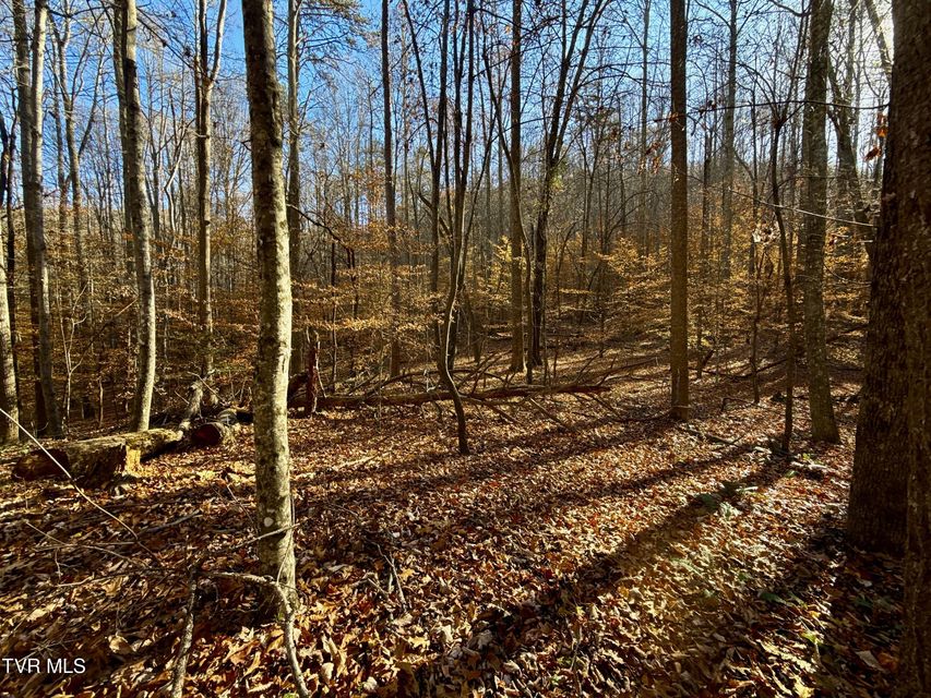 Photo #83: 131 Gibson Hollow Road