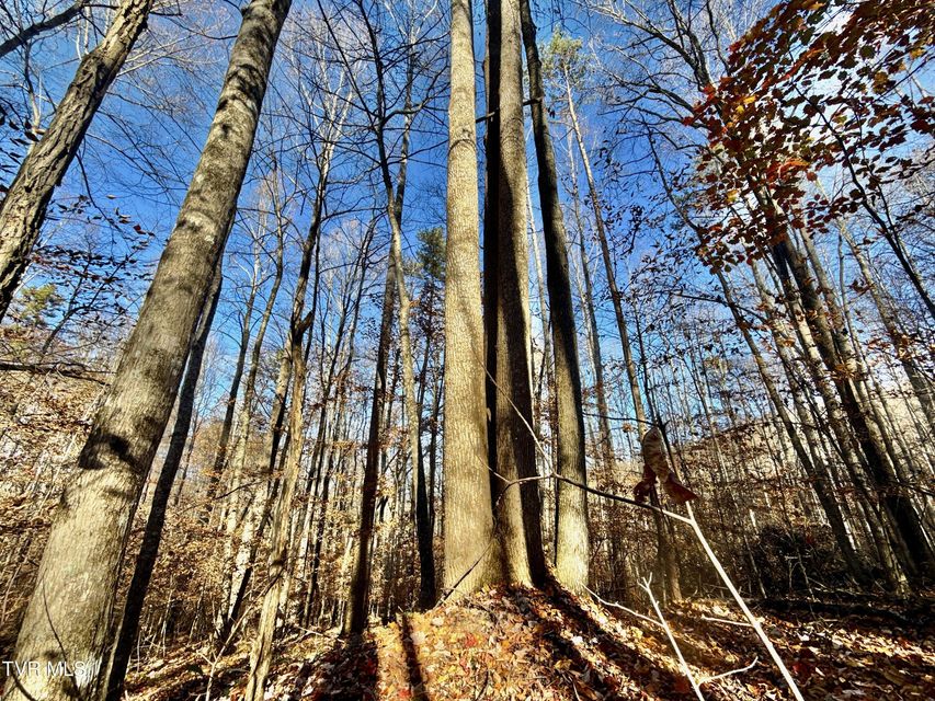 Photo #84: 131 Gibson Hollow Road