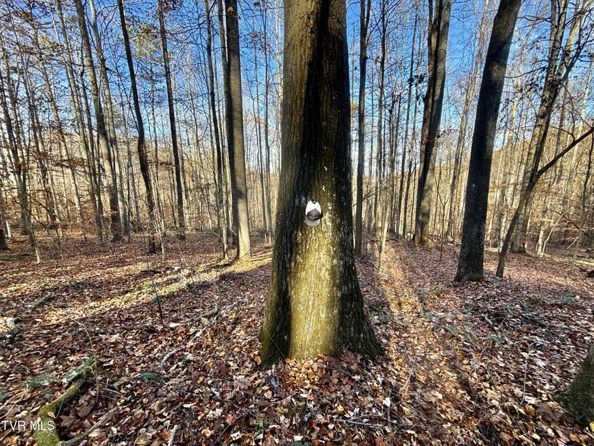 Photo #85: 131 Gibson Hollow Road