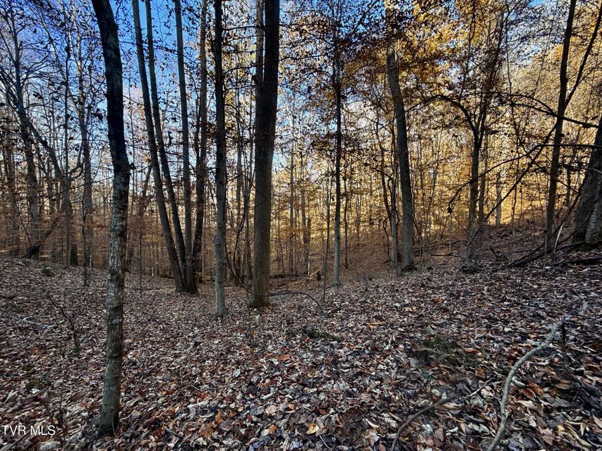 Photo #86: 131 Gibson Hollow Road