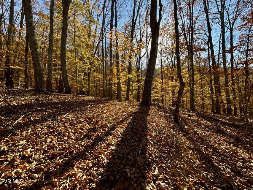 Photo #87: 131 Gibson Hollow Road