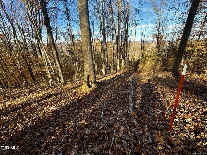 Photo #88: 131 Gibson Hollow Road