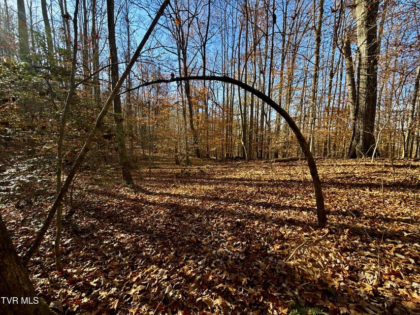 Photo #89: 131 Gibson Hollow Road