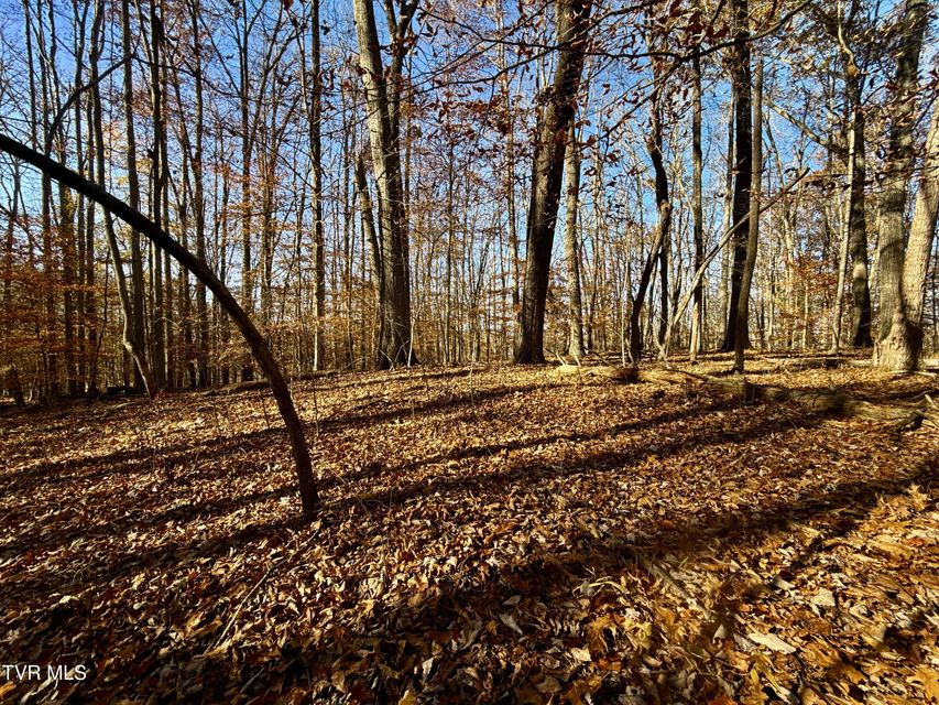 Photo #90: 131 Gibson Hollow Road