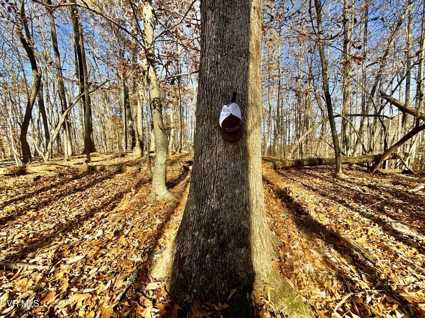 Photo #91: 131 Gibson Hollow Road