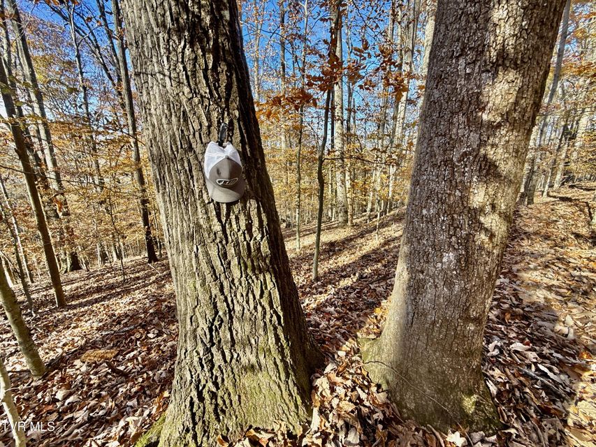 Photo #92: 131 Gibson Hollow Road