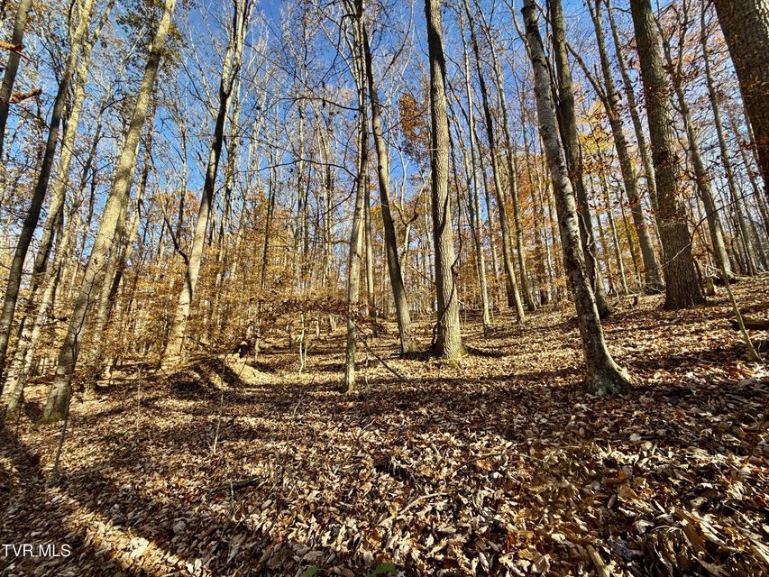 Photo #93: 131 Gibson Hollow Road