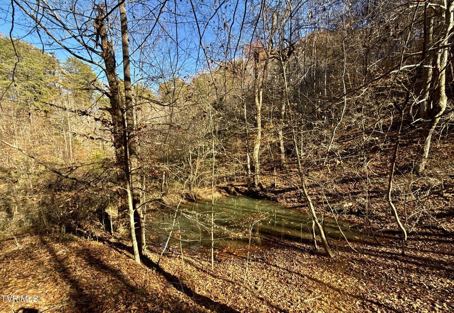 Photo #95: 131 Gibson Hollow Road