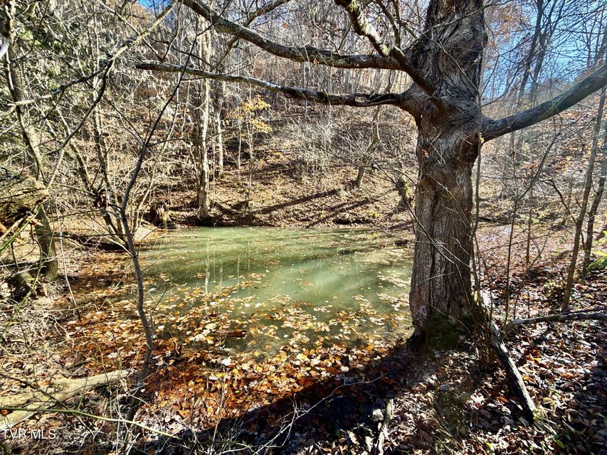 Photo #97: 131 Gibson Hollow Road