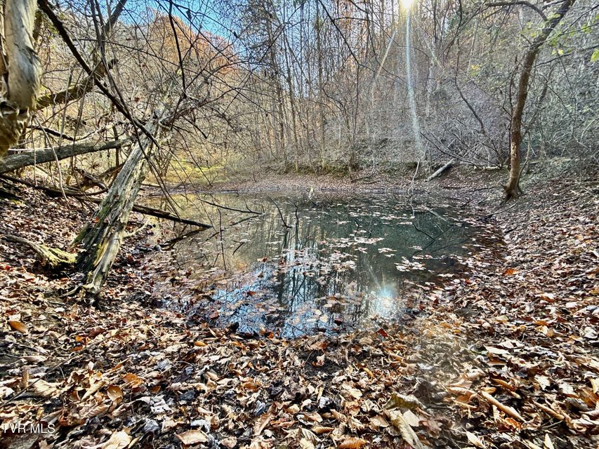 Photo #4: 131 Gibson Hollow Road