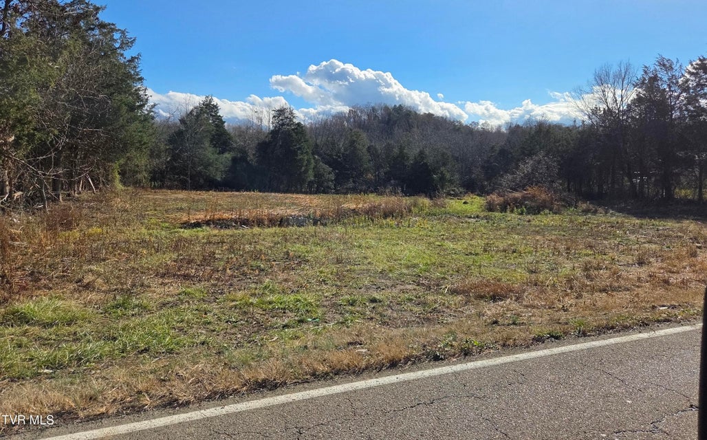 Photo #4: 355 Austin Springs Road