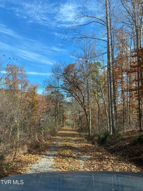 Photo #12: 00 Gillis Trail