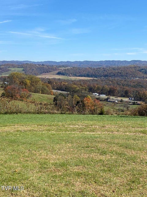 Photo #13: 00 Gillis Trail