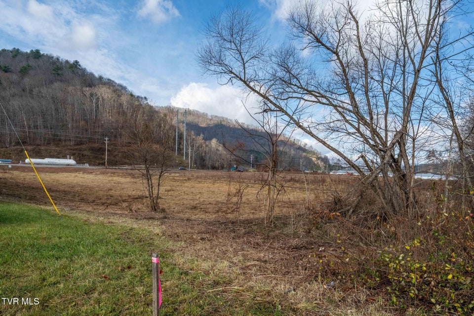 Photo #32: 21 Shady Street