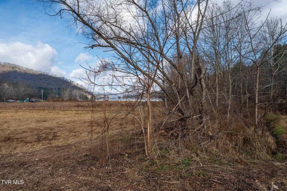 Photo #33: 21 Shady Street