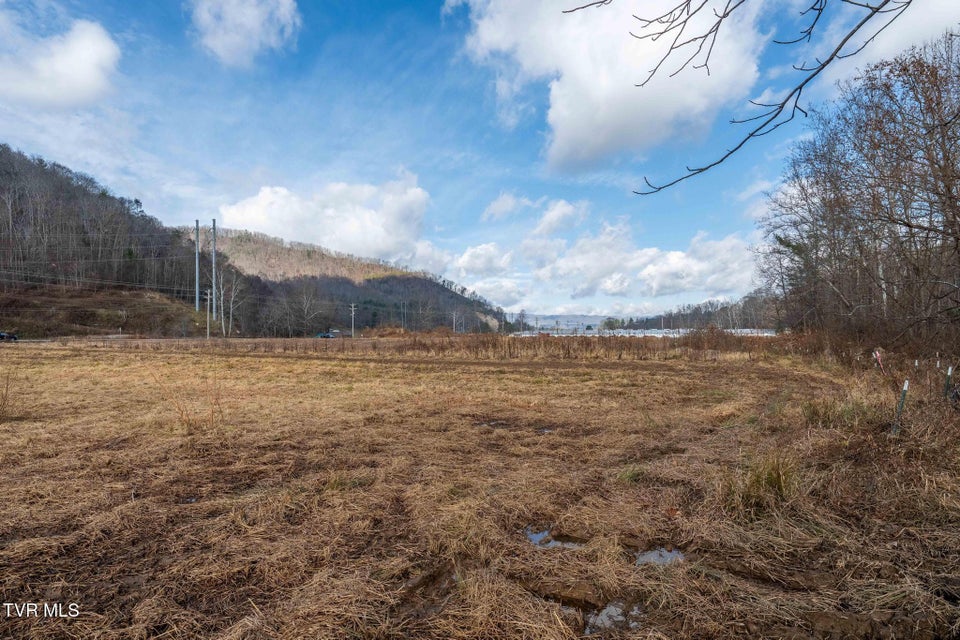 Photo #35: 21 Shady Street