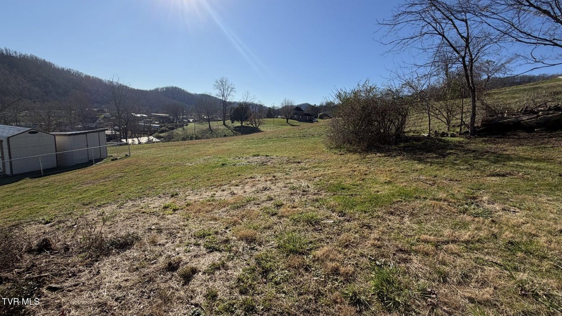 Photo #11: 299 Duff Street