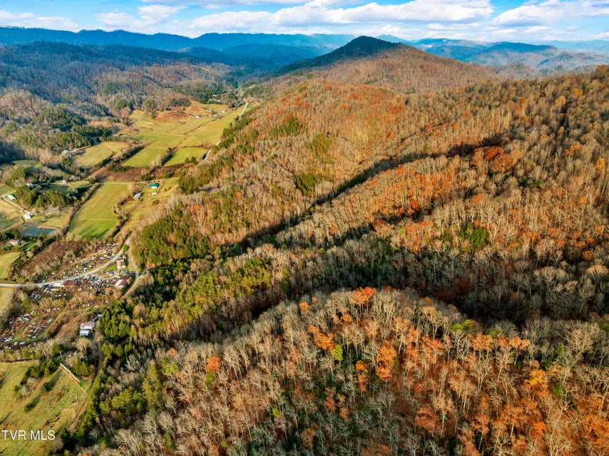 Photo #14: Tbd Panther Creek Road