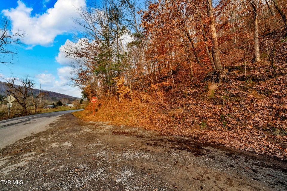 Photo #21: Tbd Panther Creek Road