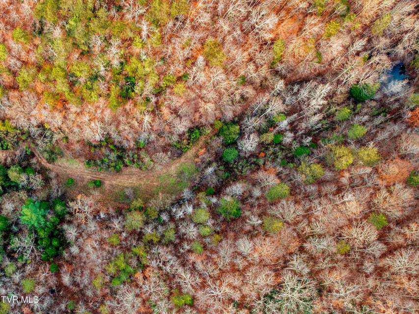 Photo #17: Tbd Panther Creek Road