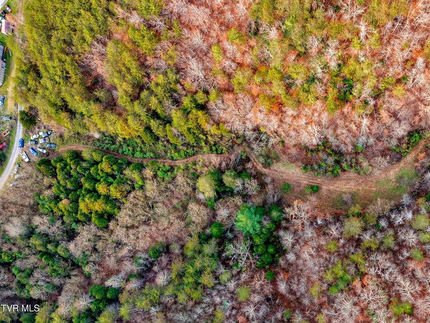 Photo #23: Tbd Panther Creek Road