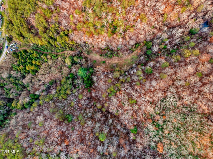 Photo #19: Tbd Panther Creek Road