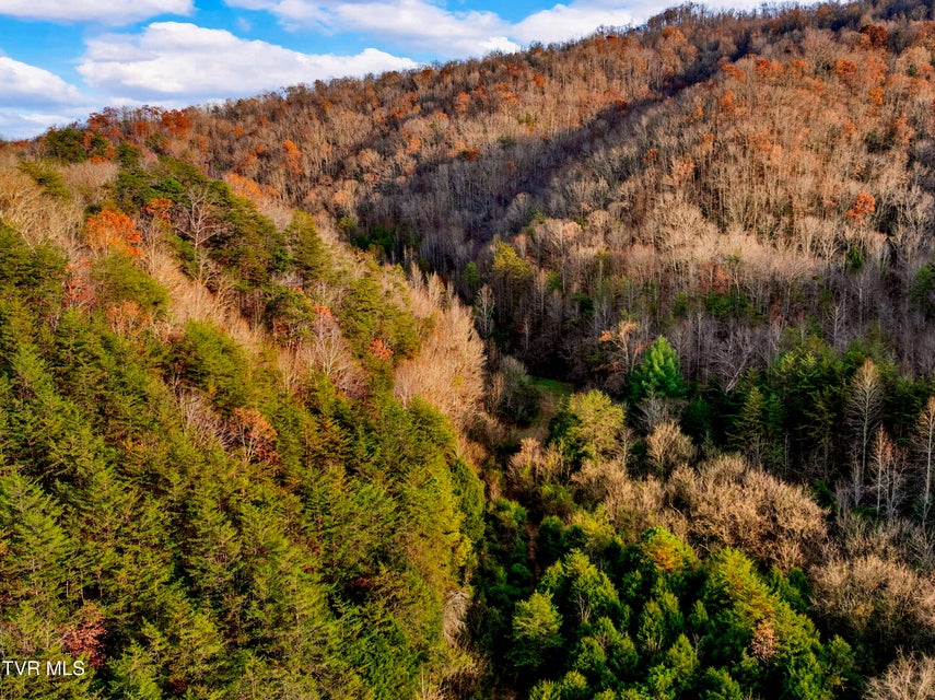 Photo #25: Tbd Panther Creek Road