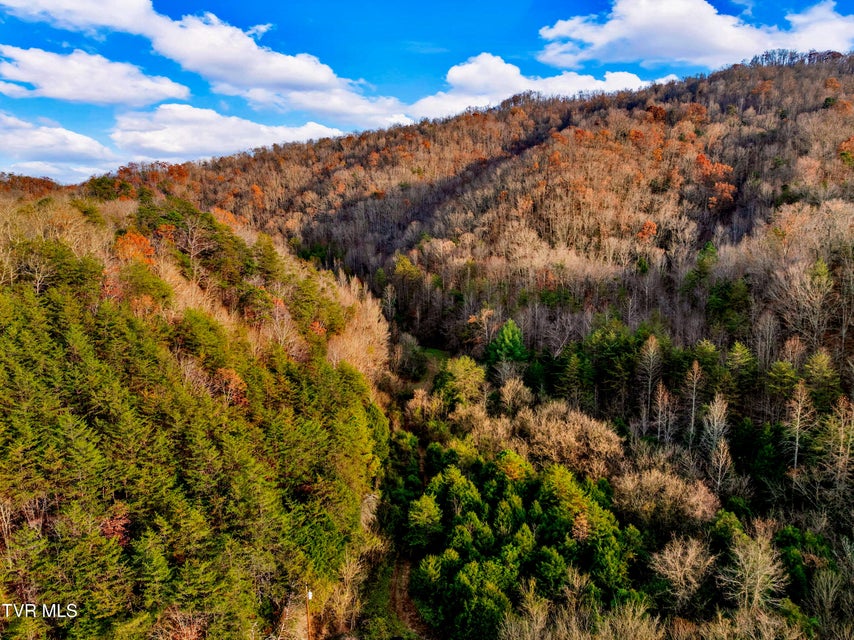 Photo #20: Tbd Panther Creek Road